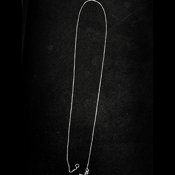 Pendant Silver Chain